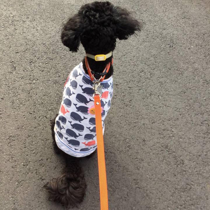 A74dff60 441a 48ca 9f4f f2884eb06a17