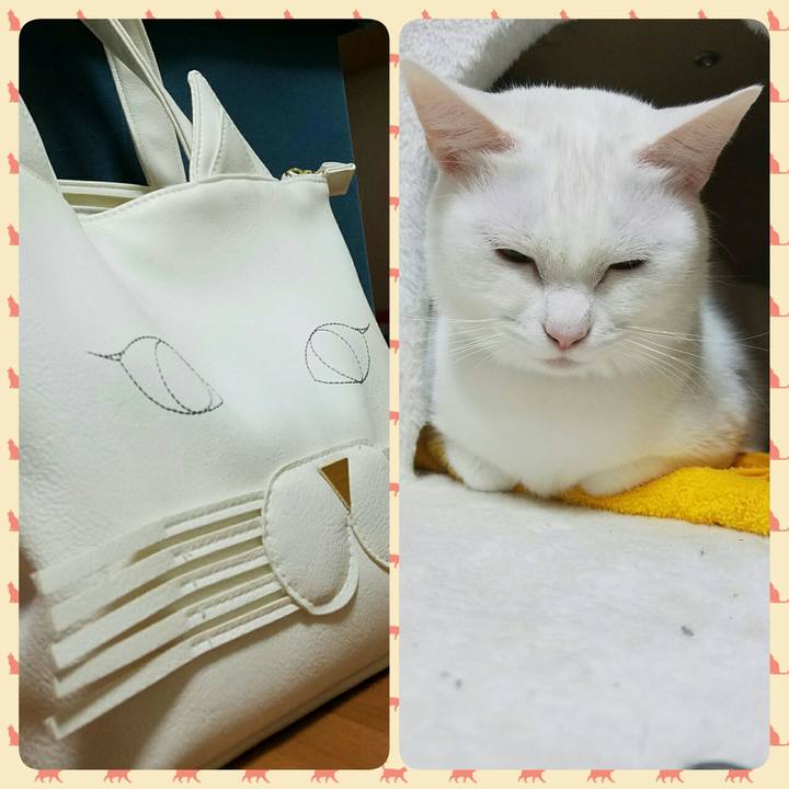 A74e42ea 1076 47b7 a96a 34f6af633cf1