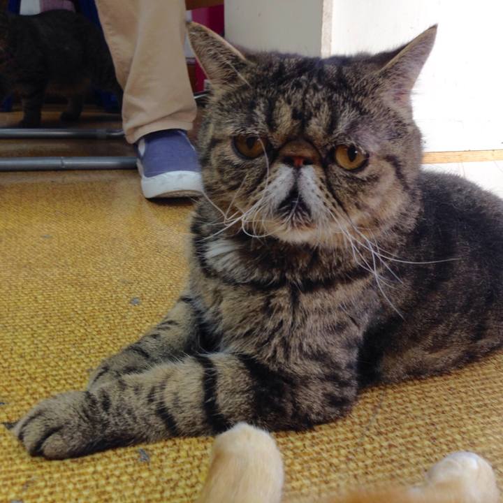 A74f17e6 63c3 472b 883c 3e4af47db5bb