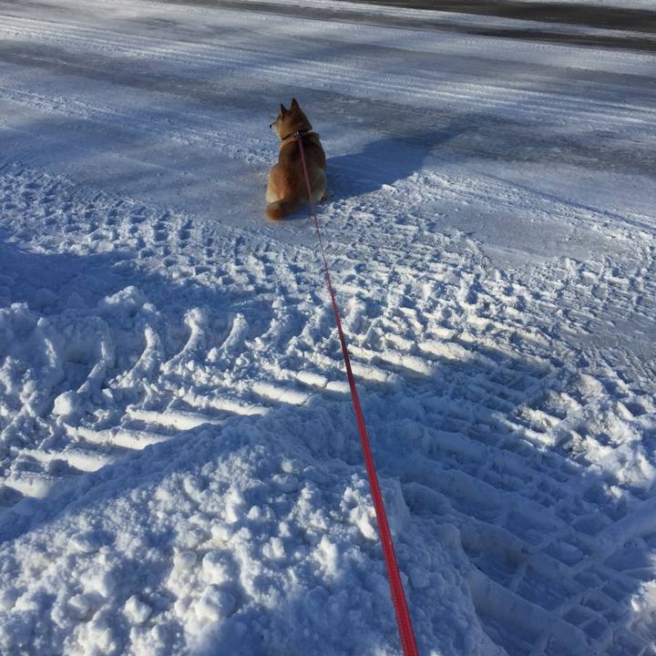 A74f1be6 02fc 45ad 934d 2cf59f91114b