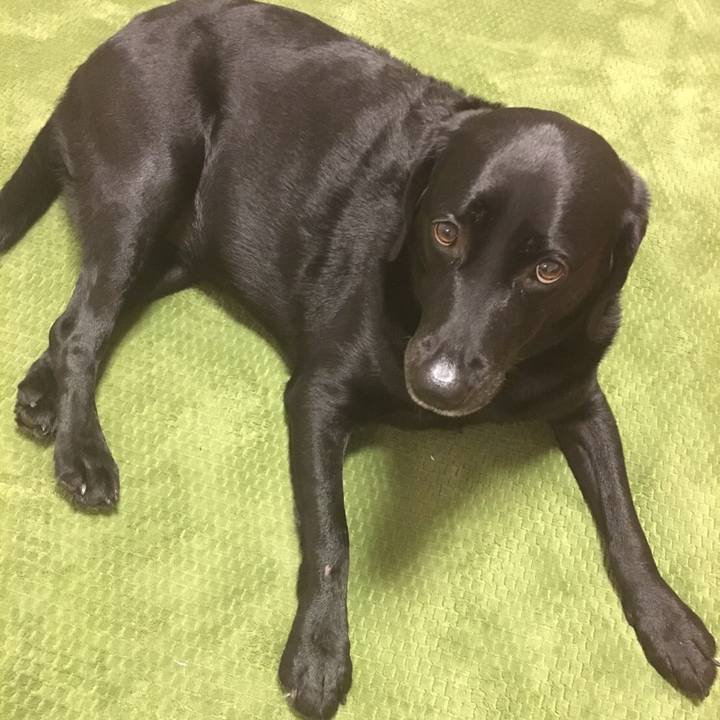 A74fcb37 dc6c 45d2 b28e 625a9a095fc0