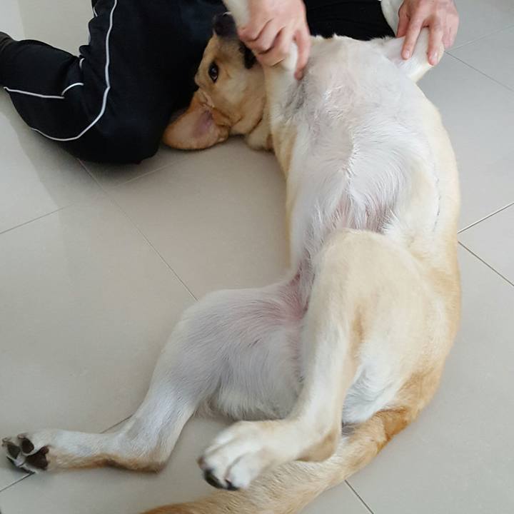 A7504579 7d9a 458b b135 0c655c6213d2