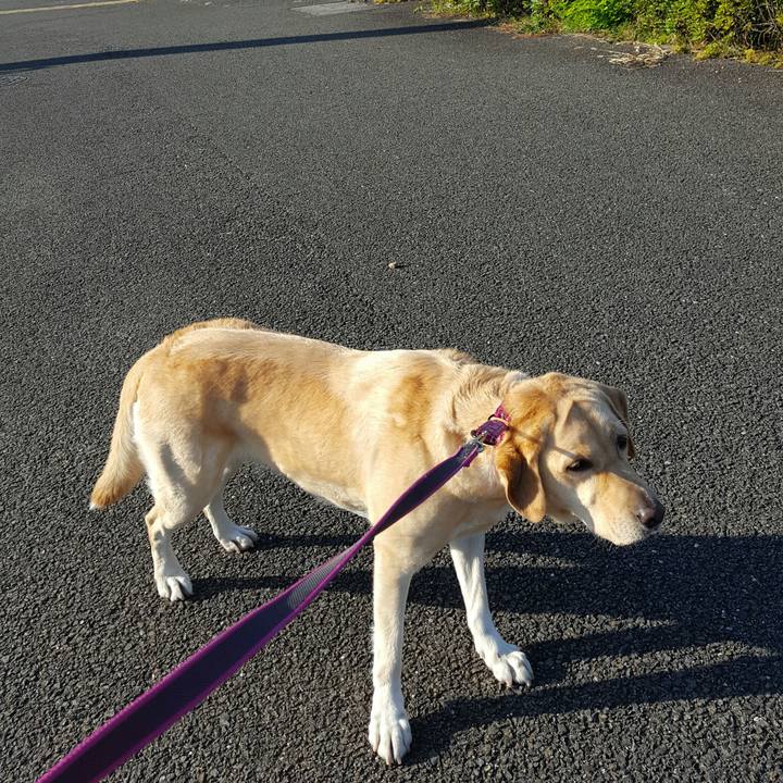 A750595a b61f 43de 8006 b7209f966b59