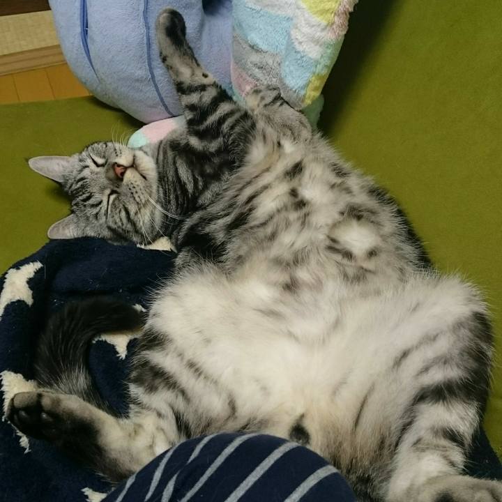 A750804d 75e0 4756 9566 d83ea6e665f6