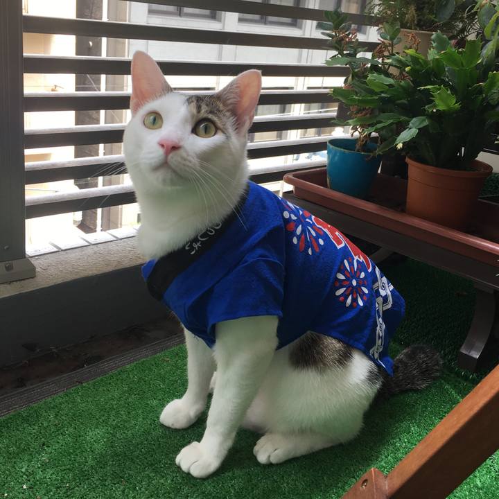 A75160e9 4c6d 48a2 9fda 3b8efd2128bf