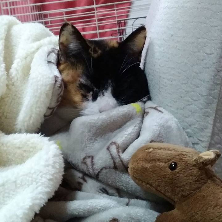 A751972b 6abb 4b1d a757 b0a51f587aab