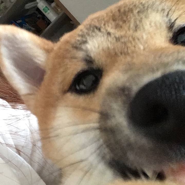 A7520ede 3d4f 4599 9421 d67423805edf