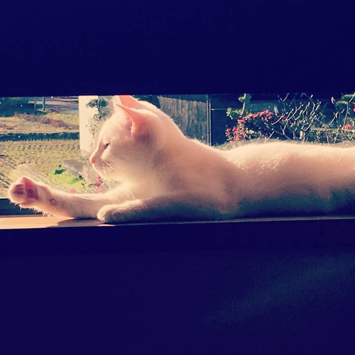 A75228d7 52ed 4e30 b955 01b163a3963d