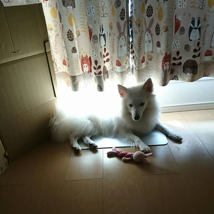 A7529d68 f61c 4c68 9c18 475972ea5b5e