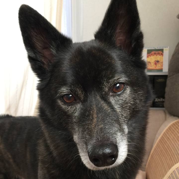 A752ce92 0a16 48d8 a04b c5d96a337a3e