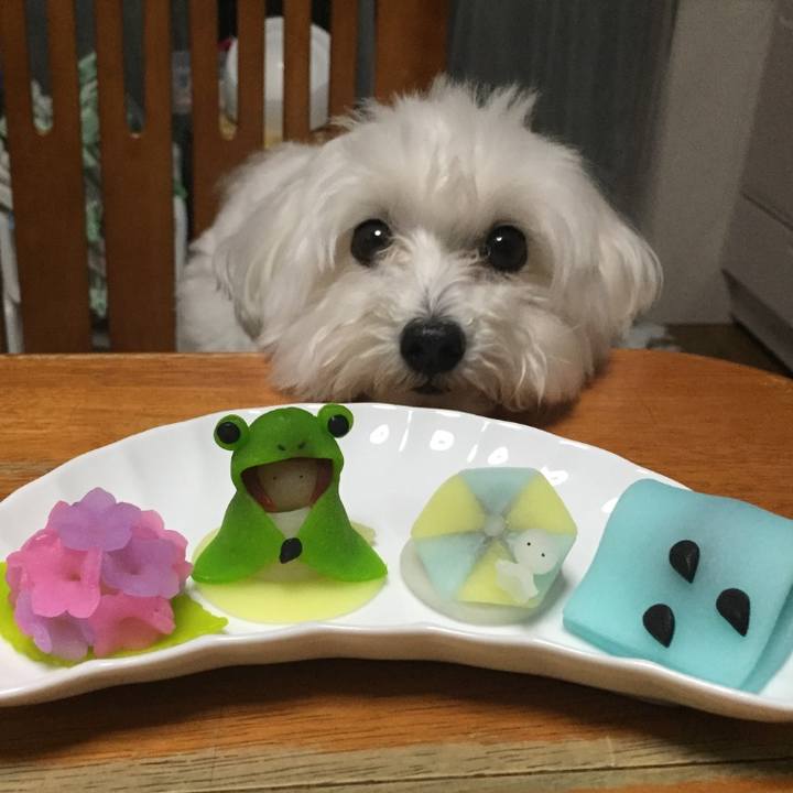 A752eece 76b7 49ea a626 c4300502eb04