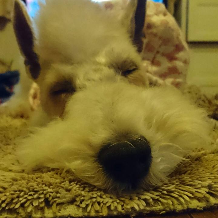 A755b985 c70b 4784 aff0 4bce0f6bda74