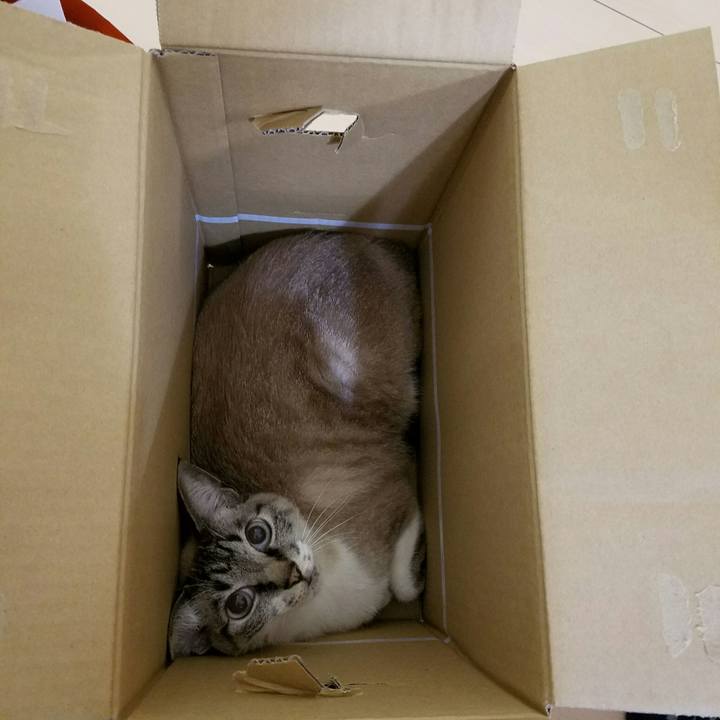 A7573d50 2ba9 4a85 bf92 0c51ea5a5d1d