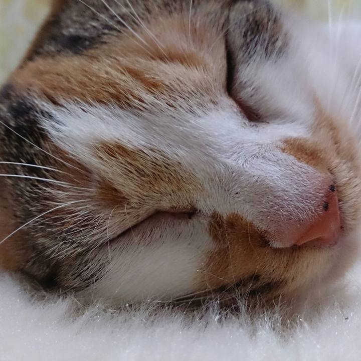 A757b36a 7f84 4bcb 8f1d a3f5c1bce57c