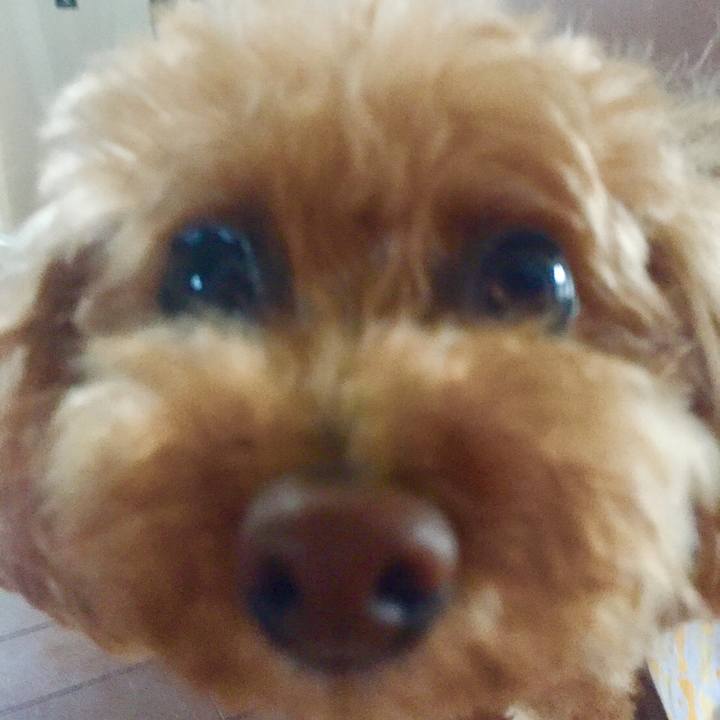 A757bd8f c4c2 4b49 b06d 8cc26c627aa0