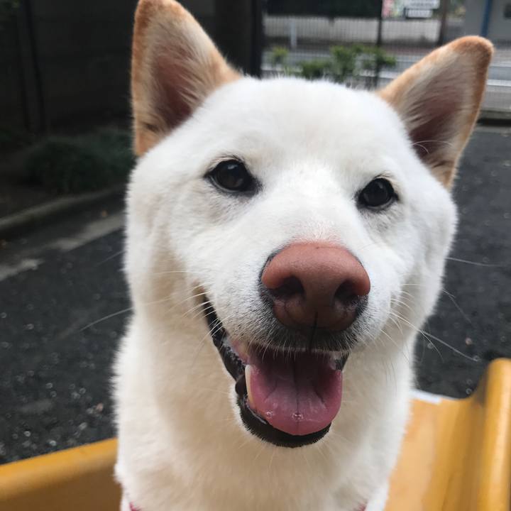 A7580caf e319 4ff9 9b4f 3524d2bfd309