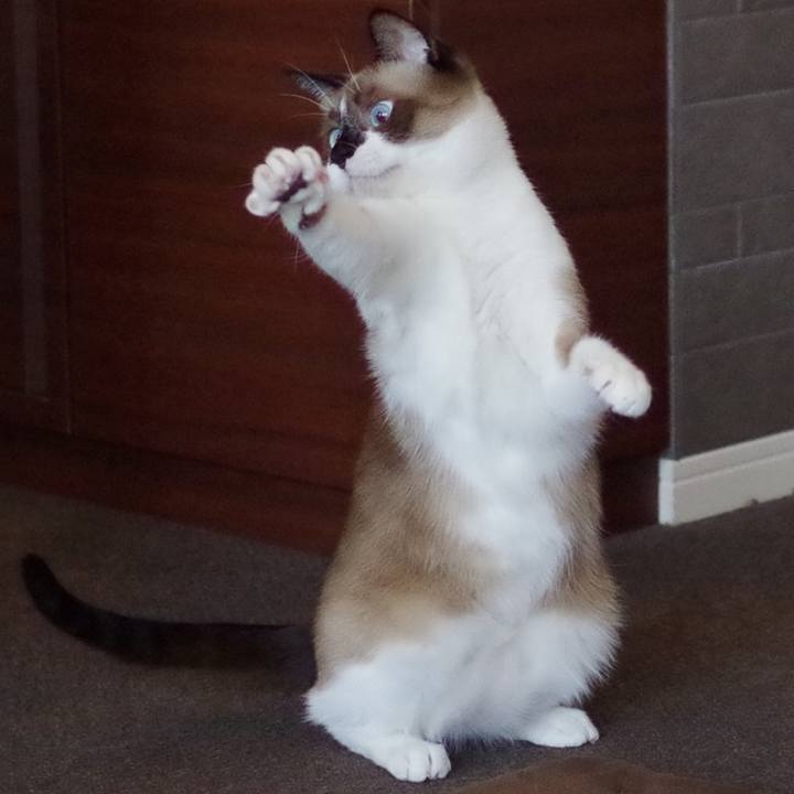 A7582b17 d1a5 4c93 bde8 53f536c76432