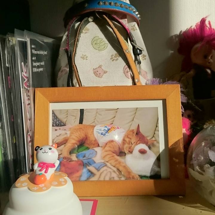 A7584f9f f596 4a7b bbac a466d5c882c4