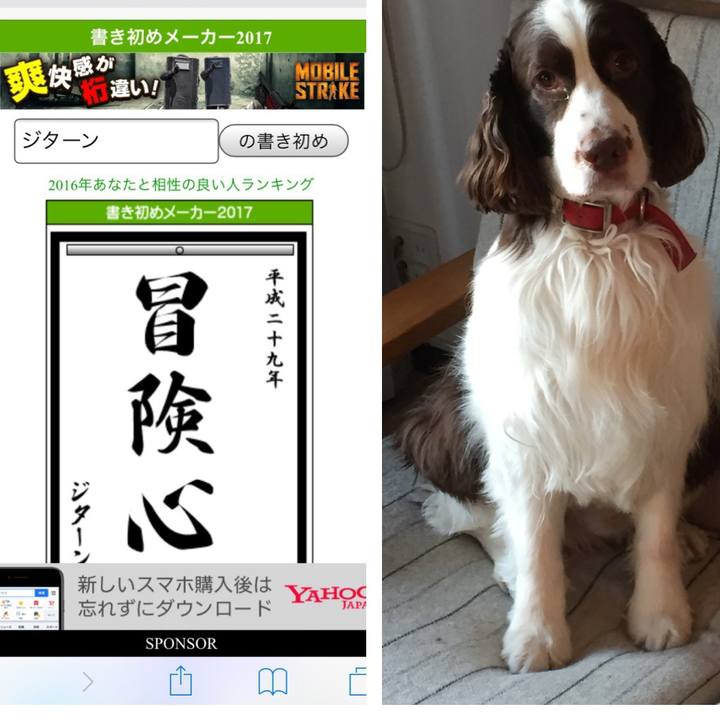 A758abf1 71e7 4be8 b9dd e7c8e3a4a739