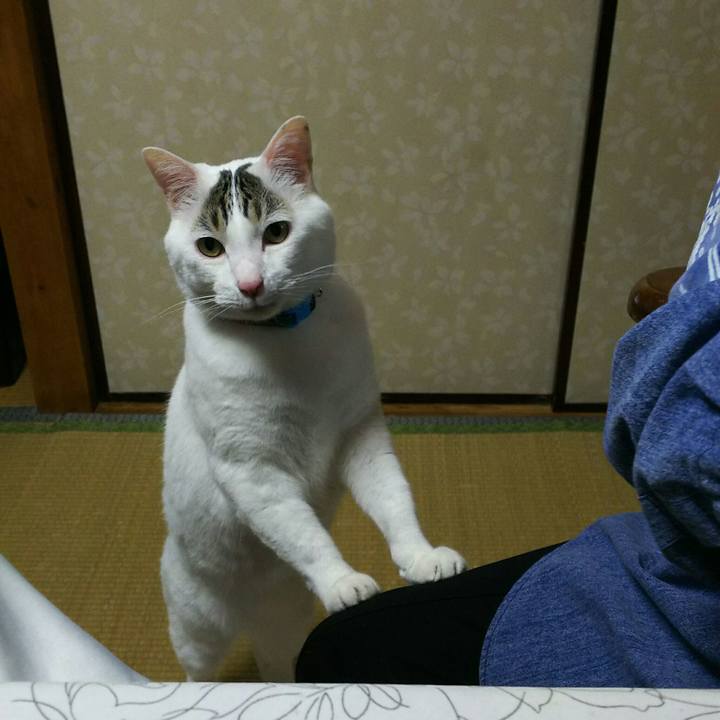 A758b40d 14d9 401b 80dd 0289830269d6