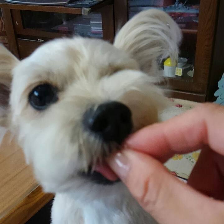 A758eff7 1813 4669 a8ef e59ffd2f2ffb