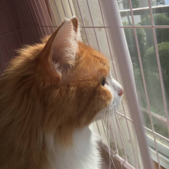 A75b1b7e 129d 4765 8710 c3fca6d2e30b