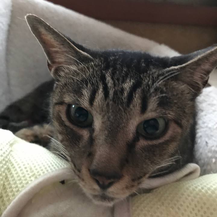 A75b350e 4fc5 478c a416 dee3a78e3b03