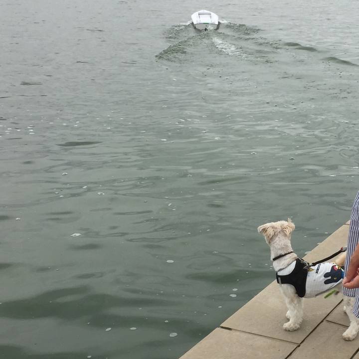 A75b494e 3959 41b3 adc4 0f08531a44fd