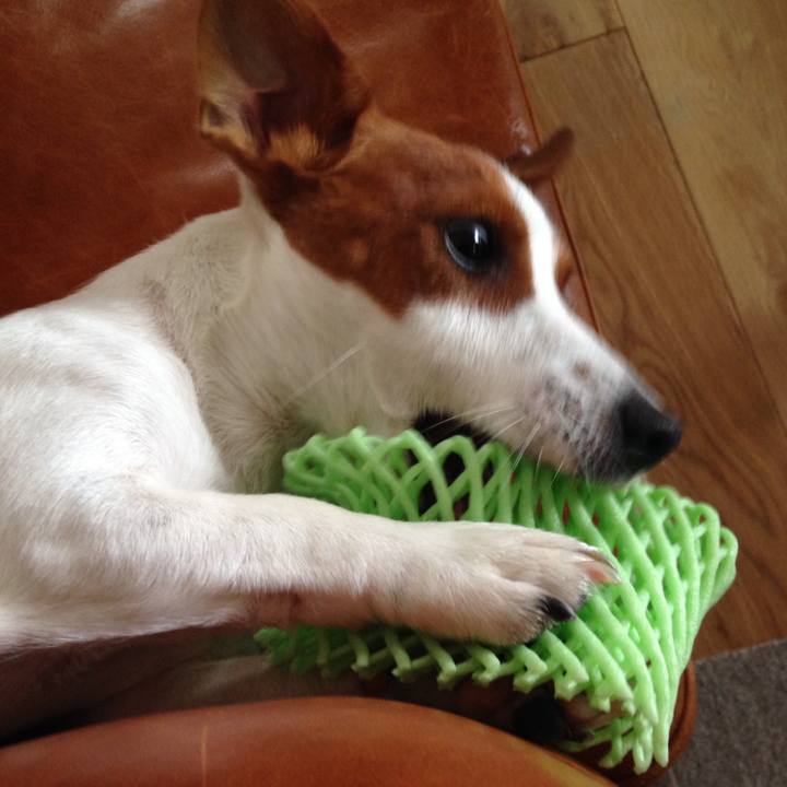 A75bb0ea a02e 4a68 9918 a7ab09546795