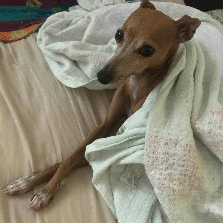 A75bc26d 450e 459e bb13 535b268934ac