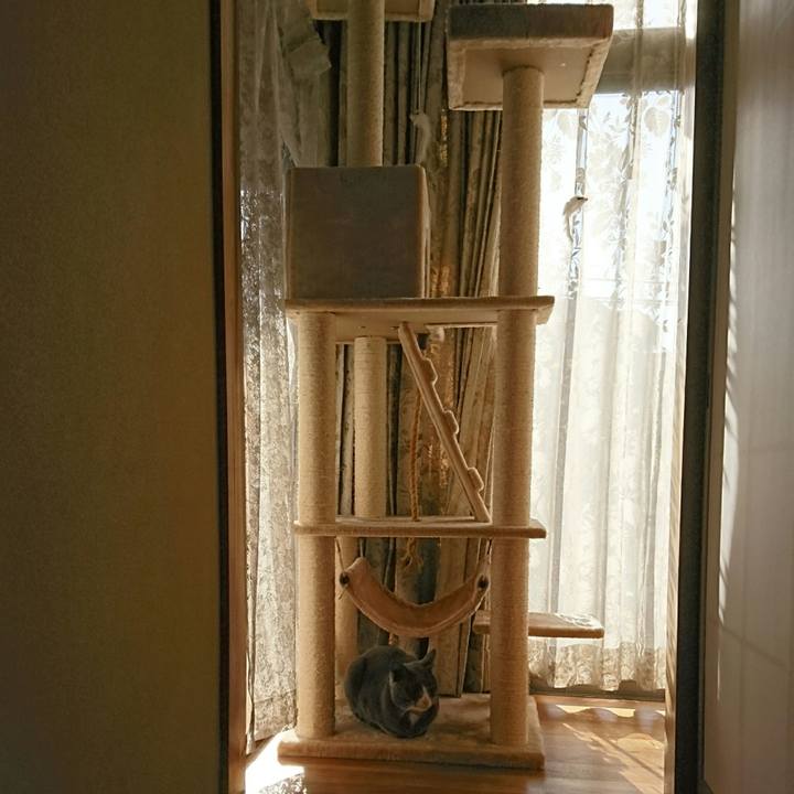 A75c056a 0b0d 4825 9f32 d7f55cf6b2b3