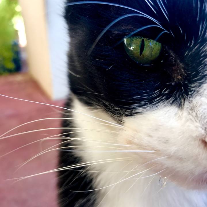 A75c689b 35e0 4411 9773 d6b61f5dd25f