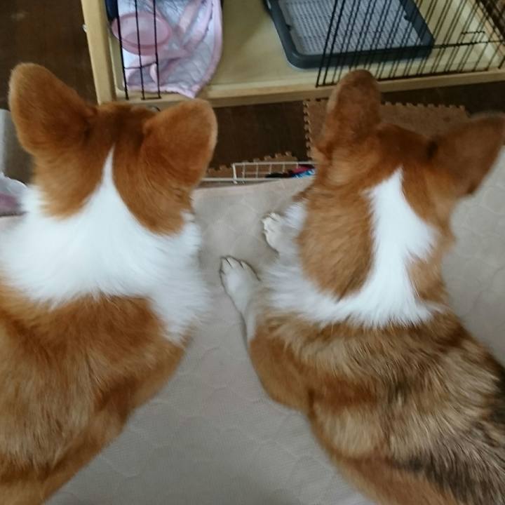 A75c6fff c061 44de 9062 7cd76f79fd9f