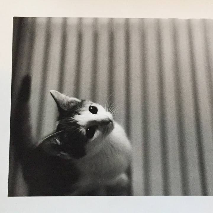 A75c92e2 0d80 4ed7 9c77 765783cf1c52