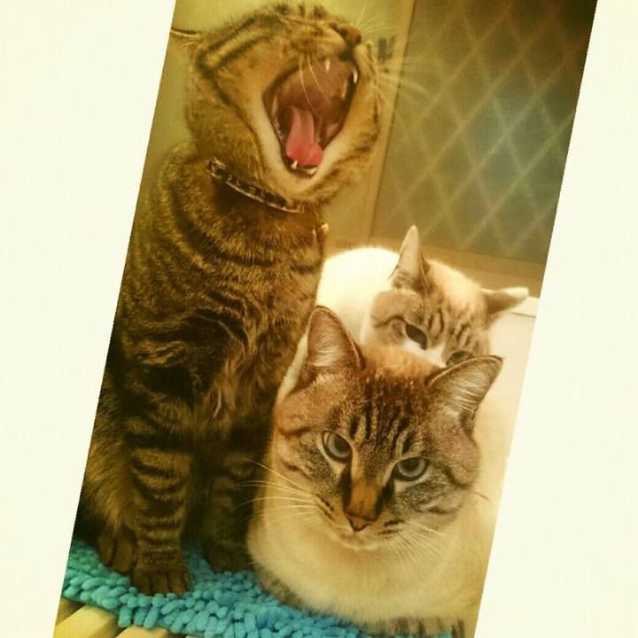 A75d08be 7609 4cc2 aa7f 5e7fd04c8d83