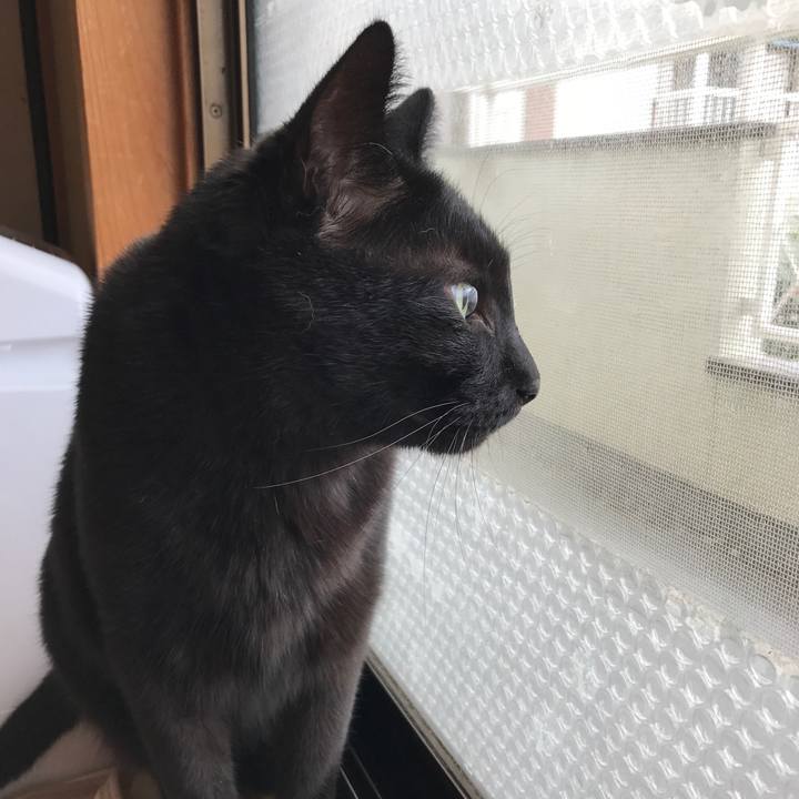 A75d4f7c 6005 425e a01c 83eef4d70237