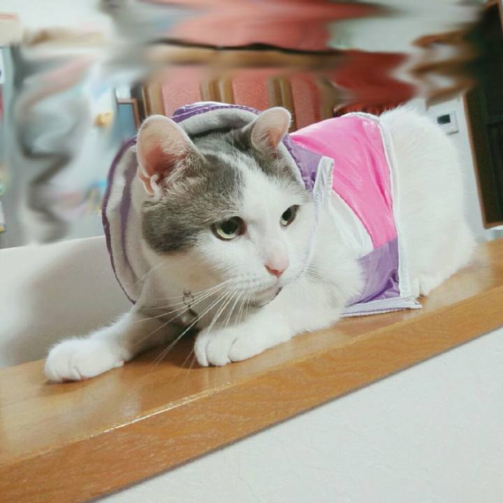 A75dab64 c953 49b5 a35b 7cd10efbc05a