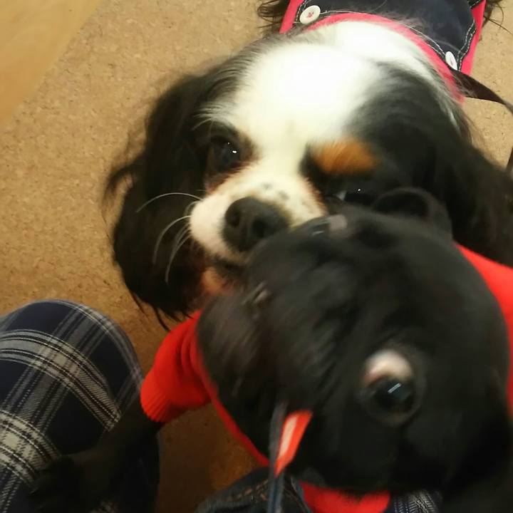 A75de8b3 08c5 4b68 afff 56db0e467205