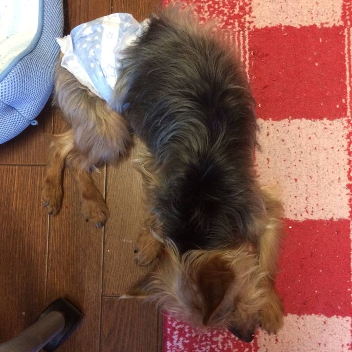 A75e9be8 cd81 42d6 b065 c69497ed6af3