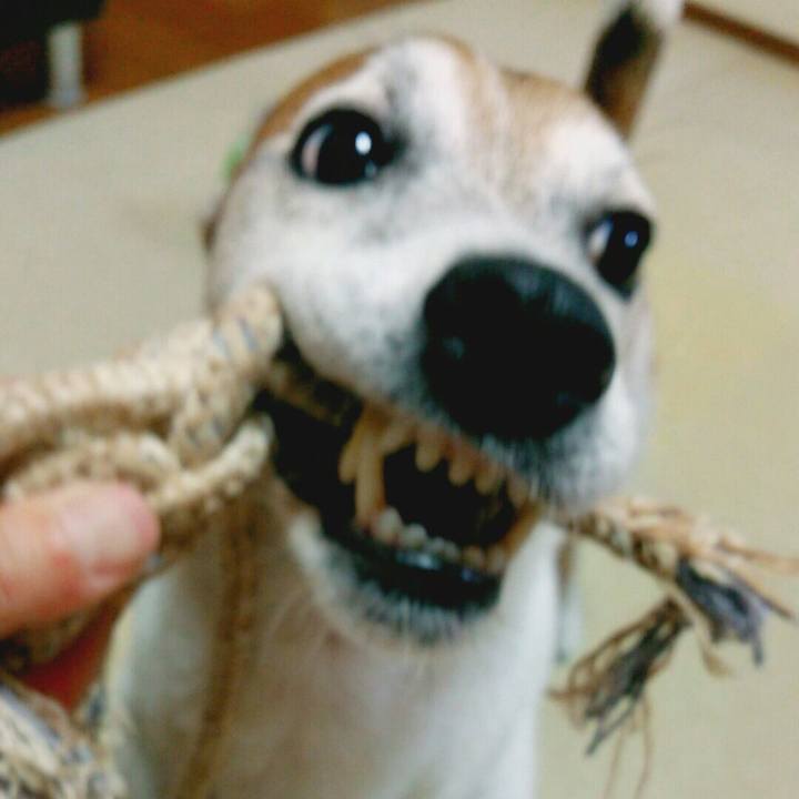 A75eba94 3ed6 4083 b760 0c5df31376ff