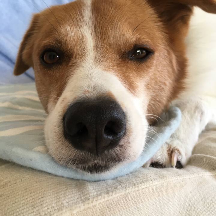 A75ed561 136f 4fee 986b 7d5cb27006e6