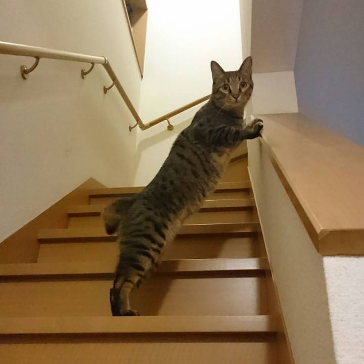 A75edc2c ccad 4c9c aa6c 16937a57c3c0