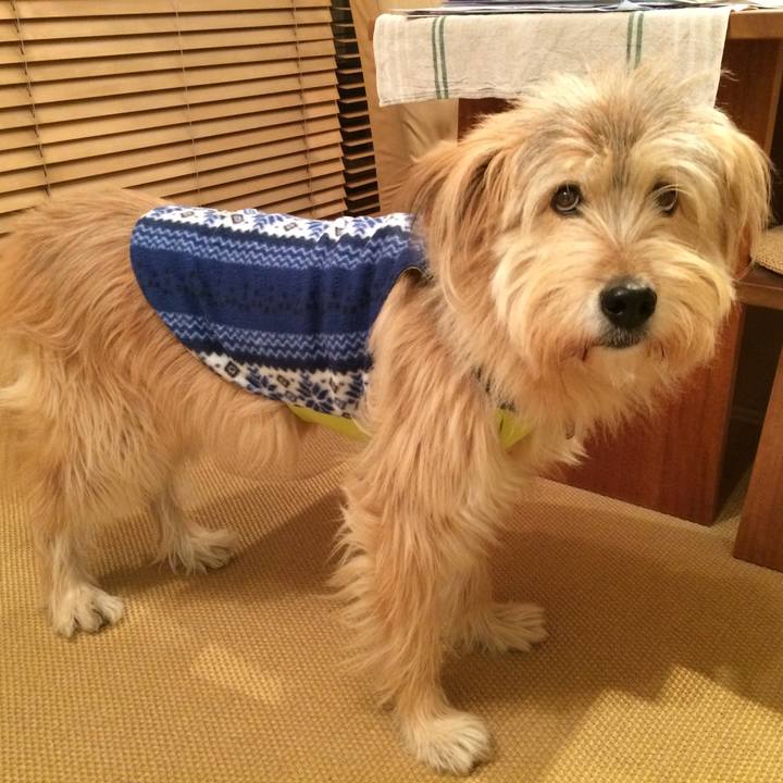 A75ef6e6 4c83 4d0d 80a4 c019173b8659