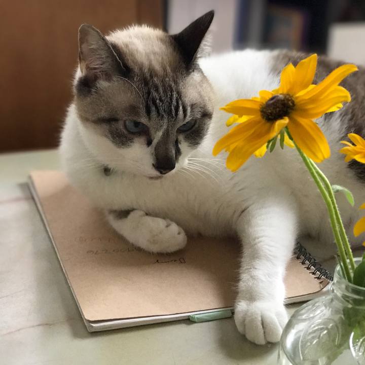 A760c76f 9ba1 4475 b3be 604d6afc1ebd