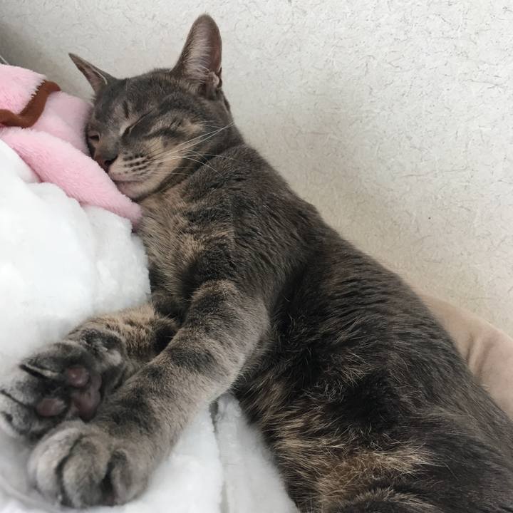 A761040d 5bc4 4d8c 9f59 c07834651c58