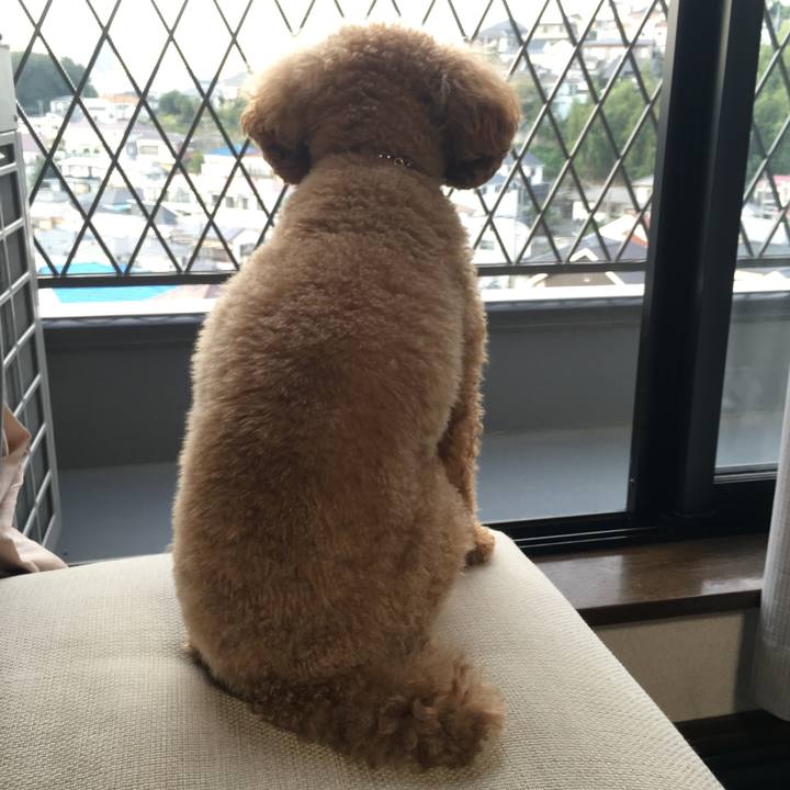 A7613b81 2e91 4ec8 b20d cd9d76a5a57b