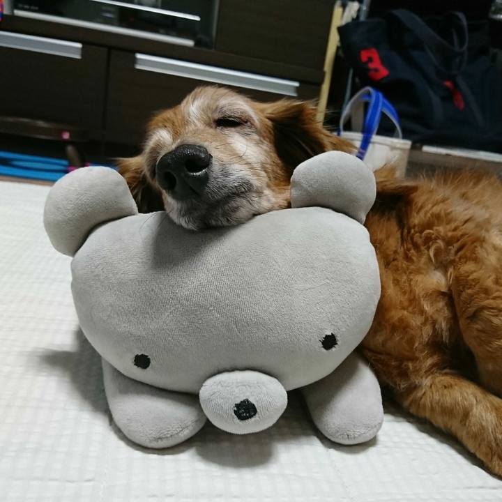 A7616b3d d425 4e00 8ed1 f4f720a4ce7f