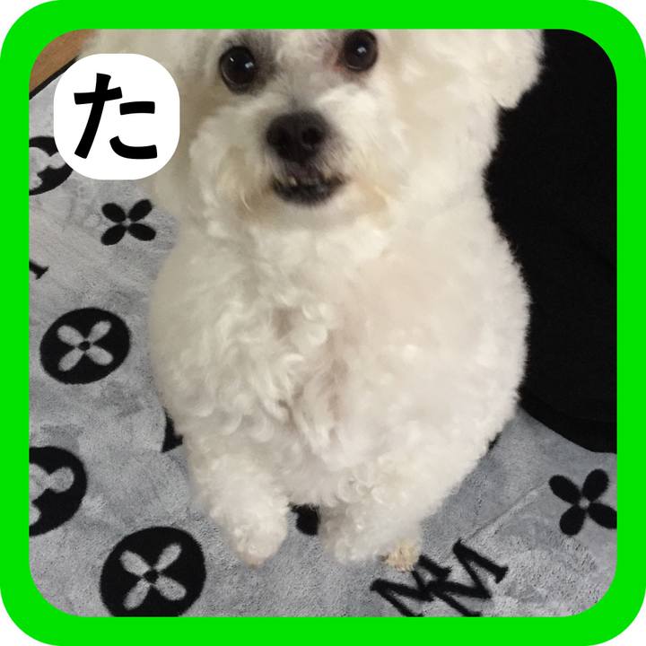 A761a42e dccb 424c 9d3a d38b7a1aeece