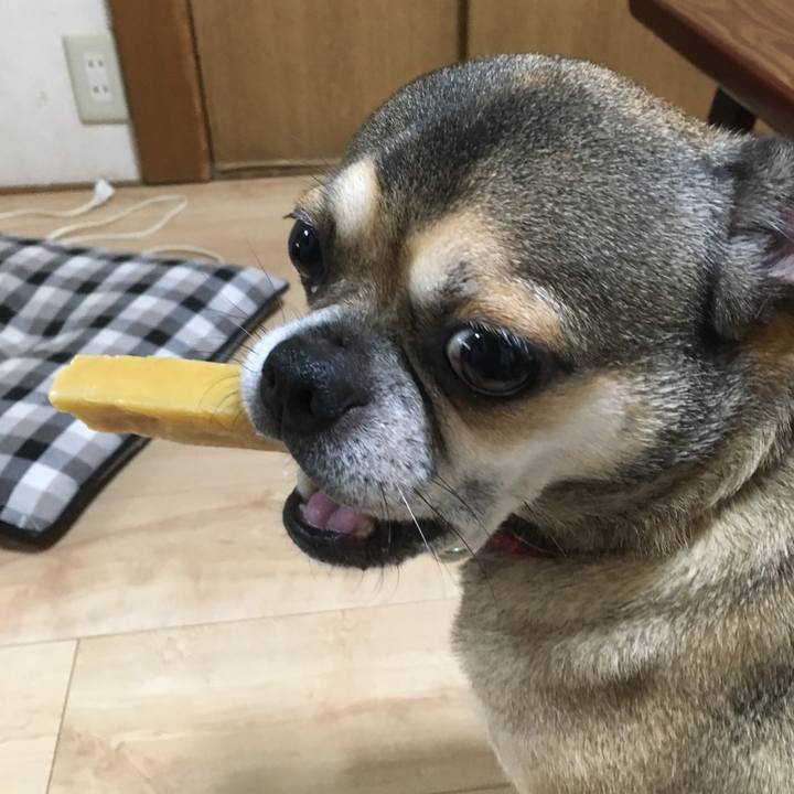 A761d0b1 25fb 4512 b31e b2a72f9951db