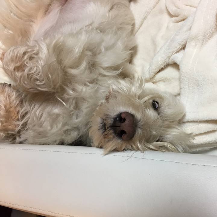 A761fe1e 8eb5 414c 8f38 f3904073fb93